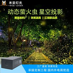 新品LED屋外ホタルダイナミック防水フルカラー観光地区公園レストラン景観点灯星空投影灯