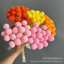【黄金球】永生黄金球干花 永生花玻璃罩礼盒配材 家居装饰拍摄道