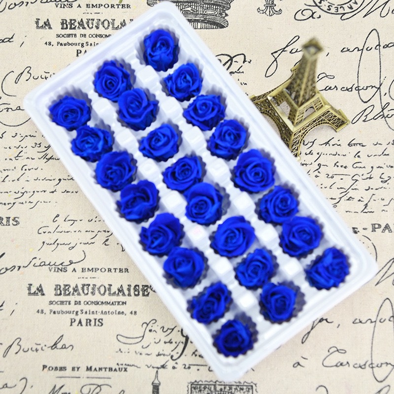 Un inmortal Rosa zafiro azul