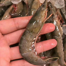 ��ɽˮ�a���r�������r�l�r��Ƥ�r��������r���r�r����r�͏d