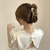 Metal advanced elegant shark, hairgrip, crab pin, brand big hair accessory, high-quality style, South Korea