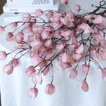 ���������ĭ���\�� �����  ��c�Y���b�픻��� �zӰ�ҾӲ廨