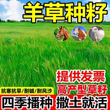 ��ݷN�џoâȸ�����|���|é�ݼt�������ݹ��̾G���o�¹����ݷN��