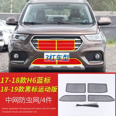 Great Wall Haval H6/H6S Car Automobile anti-insect net - 17-18-blue-label18-19-black-label-sports