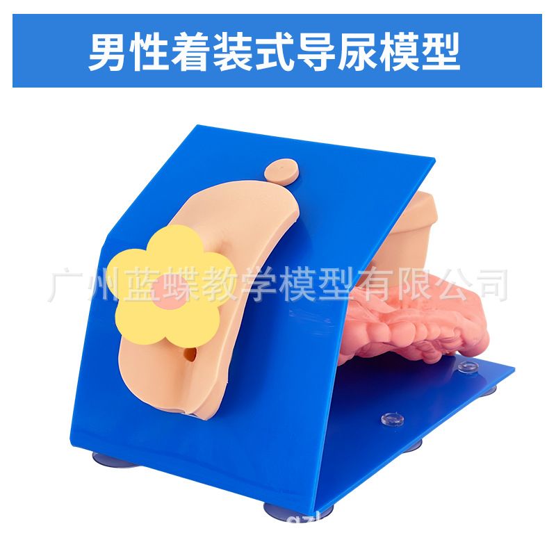 ��Ů��������ֳ�����ʵ���ֱ����ϰģ�ͽ�ѧ��������������ֳϵͳ