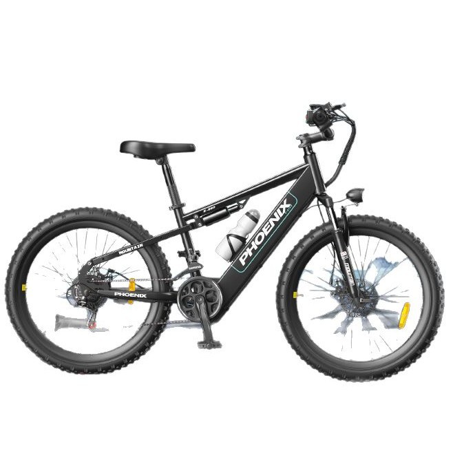 Bicicletas eléctricas asistidas por Phoenix Vehículo eléctrico masculino para mujeres Bicicletas eléctricas asistidas por litio Bicicletas de viaje