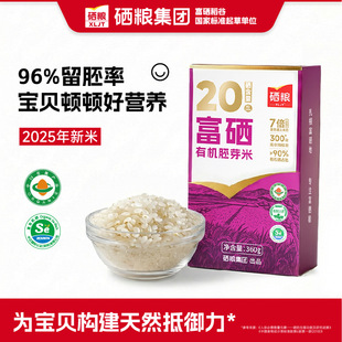 XLJT���Z�����ЙC��ѿ��2025������96%�������͌������׃��oʳ�V