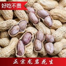 正宗龙岩水煮花生盐水五香白晒咸香干蒜蓉香带壳脆熟咸生红皮特产