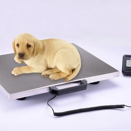 手提秤;电子秤;厨房秤