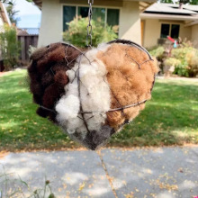 ����վ Bird Nesting Heart Outdoor Yard Art�B���đ����b�ˇ�g