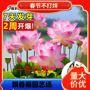 һ�����l�^�p�ɻ�����ˮ�Bɏ��ź�N����ɏ˯ɏ���ܷN����ˮ�����