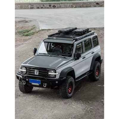 Rack Roof Platform Ladder Modified | Roof rack