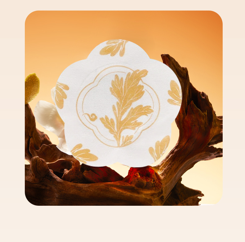 Yuanhu Wuling Baliao Patch Herbal Warming Abdominal Moxibustion Sticker 3 Patches per Box with 3 Moxa Balls details