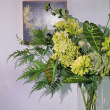 Y׻ɭûcnɫϵˬG~SYٻϵG~