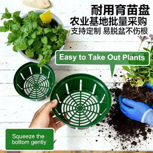 �羳���N͸��Ӂ���ظ��辰���P�������lֲ���Ԅӝ�ˮ��������ˮ