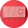 Brand nail decoration contains rose, silicone mold, handmade, internet celebrity