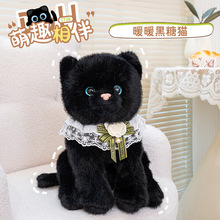 仿真暖暖黑糖猫公仔玩偶猫咪黑猫毛绒玩具儿童陪伴生日节日礼物女