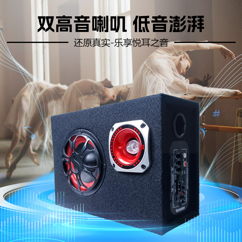 TDR wireless Bluetooth 220V Home speaker Super Bass Car Subwoofer 12V car 24v tunnel audio