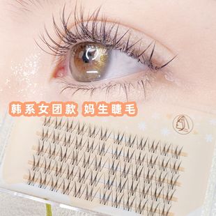 False Eyelashes Female Natural Simulation Transparent Terrier Female Group Mother Eyelashes Pure Desire Cartoon Segmented Grafting Eyelashes