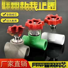 �S�Ҽ��b��ֹ�y�GɫPPRˮ����PPR�»�ɫֱ���l�y�քӽ�ֹ�y����