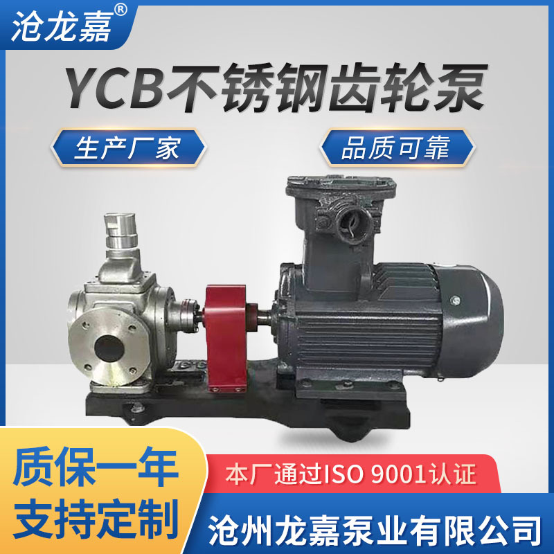 不锈钢圆弧齿轮油泵YCB3.3/0.6润滑泵 增压泵 化工耐腐蚀泵