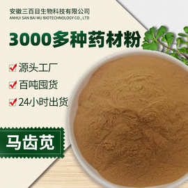 药食同源马齿苋粉 新鲜现磨五行草中药材粉 马齿苋原料泡水泡茶