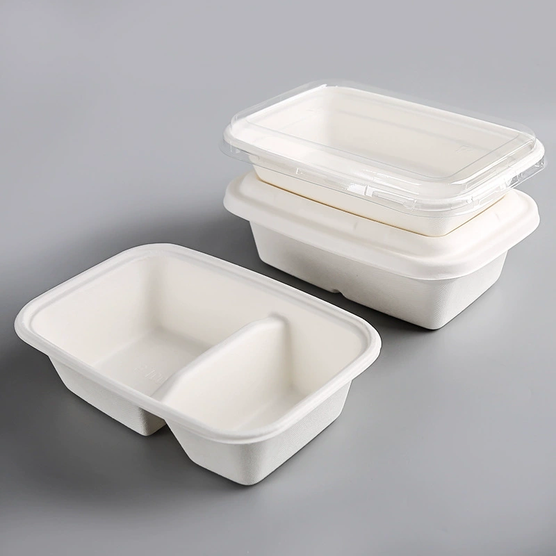 Disposable biodegradable pulp paper lunch box eco-friendly light meals bento box salad sushi takeaway container cutlery