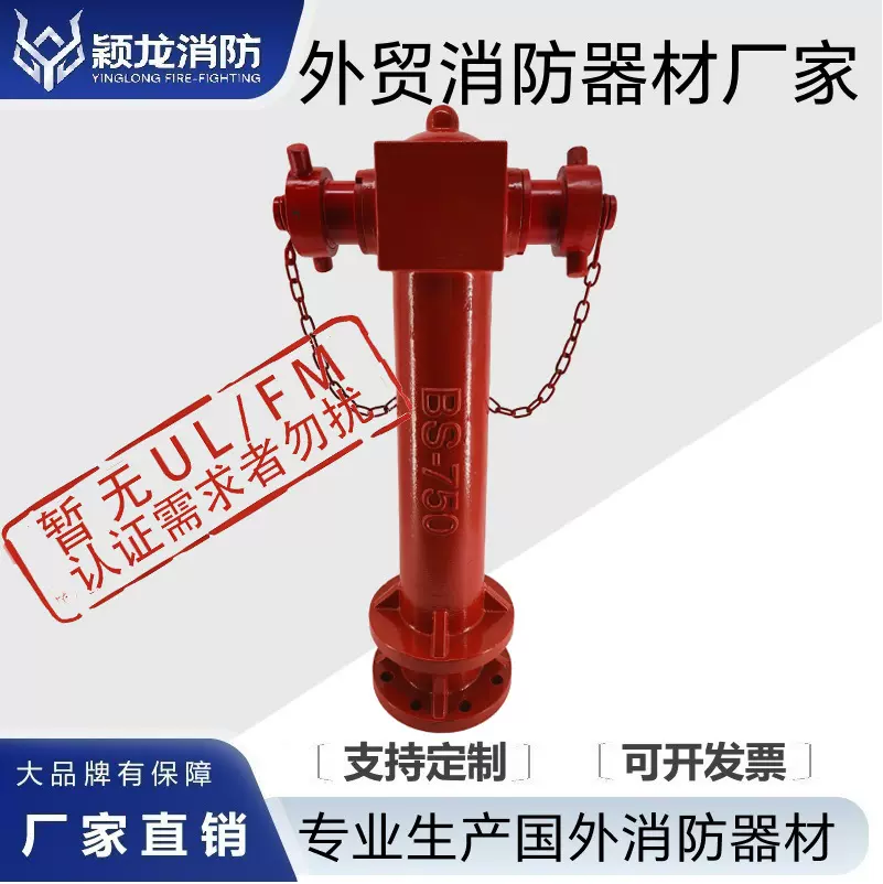 新加坡4英寸马来西亚消火栓DN100干式着陆阀跨境英式干式消防栓