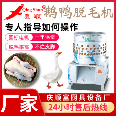 Manufactor Shun Hing Depilator Epilation Feather Hair removal machine commercial Electric commercial fast