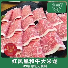 澳洲203厂红凤凰和大米龙  冷冻精修去骨黄瓜条 原切未腌制量大优