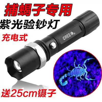 purple light sources, ultra-bright professional tool for | UV fənərlər