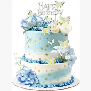 19���{ɫ����õ�廨���յ����b��{ɫ���������b����տ옷���