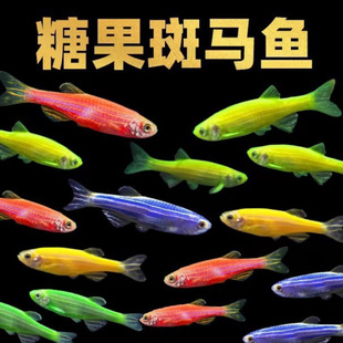 ���R�~�Ꭷ��ˮ�^�p�~С���~���B�����~��ȸ�~����~����