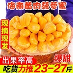 海南菠萝蜜一整个孕妇新鲜水果包邮当季干苞脆甜黄肉波罗蜜整箱红