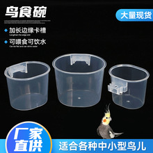 �B�С�������Bʳ����L߅�����۷����ιʳ���ˮ͸�������Bʳ��