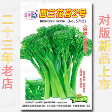 西兰花苔2号种子 约300粒西蓝花小西兰花椰菜青花菜蔬菜种子批