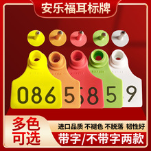 ������������ĸ�i����̖���i��̖���iţ����̖�������
