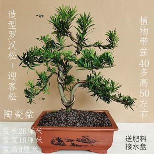 �_�h���辰�����̨���ԾGֲ����С�~�L��͏d