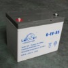 LEOCH Power Battery 6EVF65 Sightseeing Bus Battery Electric vehicle Forklift Cruiser Battery