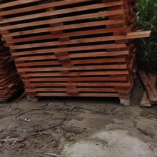 �t��ľ������l ��� �V���t��ľ��� ���l�Ȍ�ľ������l