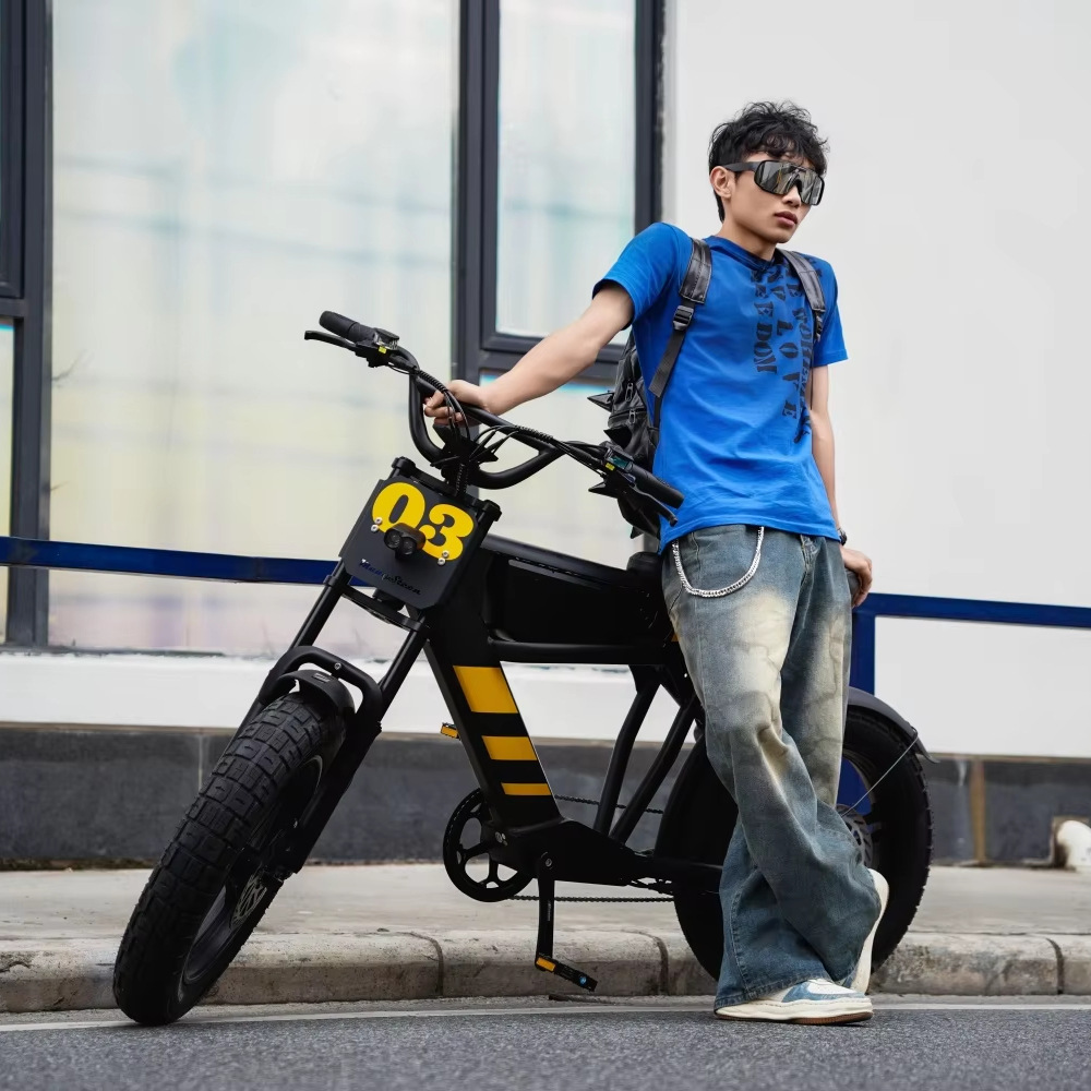 Bicicleta eléctrica de montaña transfronteriza FT - 03 EBIKE 750W / 1000W vehículo eléctrico