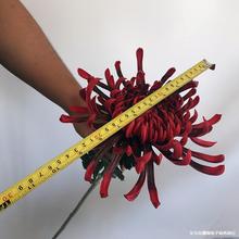 ��ʽ�廨�������Pβ �ջ� ����ָб���PU��ֻ���F�� ��׸���