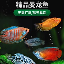 �����~�Ꭷ�^�p�~�S�����{�������Ѫ���������R�����С�͵�ˮ�~