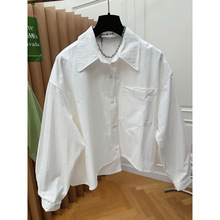 独特别致设计感小众宽松休闲不对称下摆纯色衬衫女秋简约百搭上衣