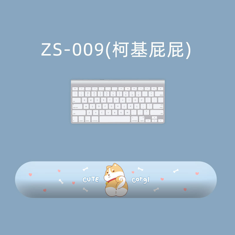 ZS-009
