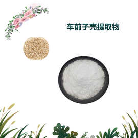 沃特莱斯生物 车前子壳提取物 速溶粉 原粉 2kg起批
