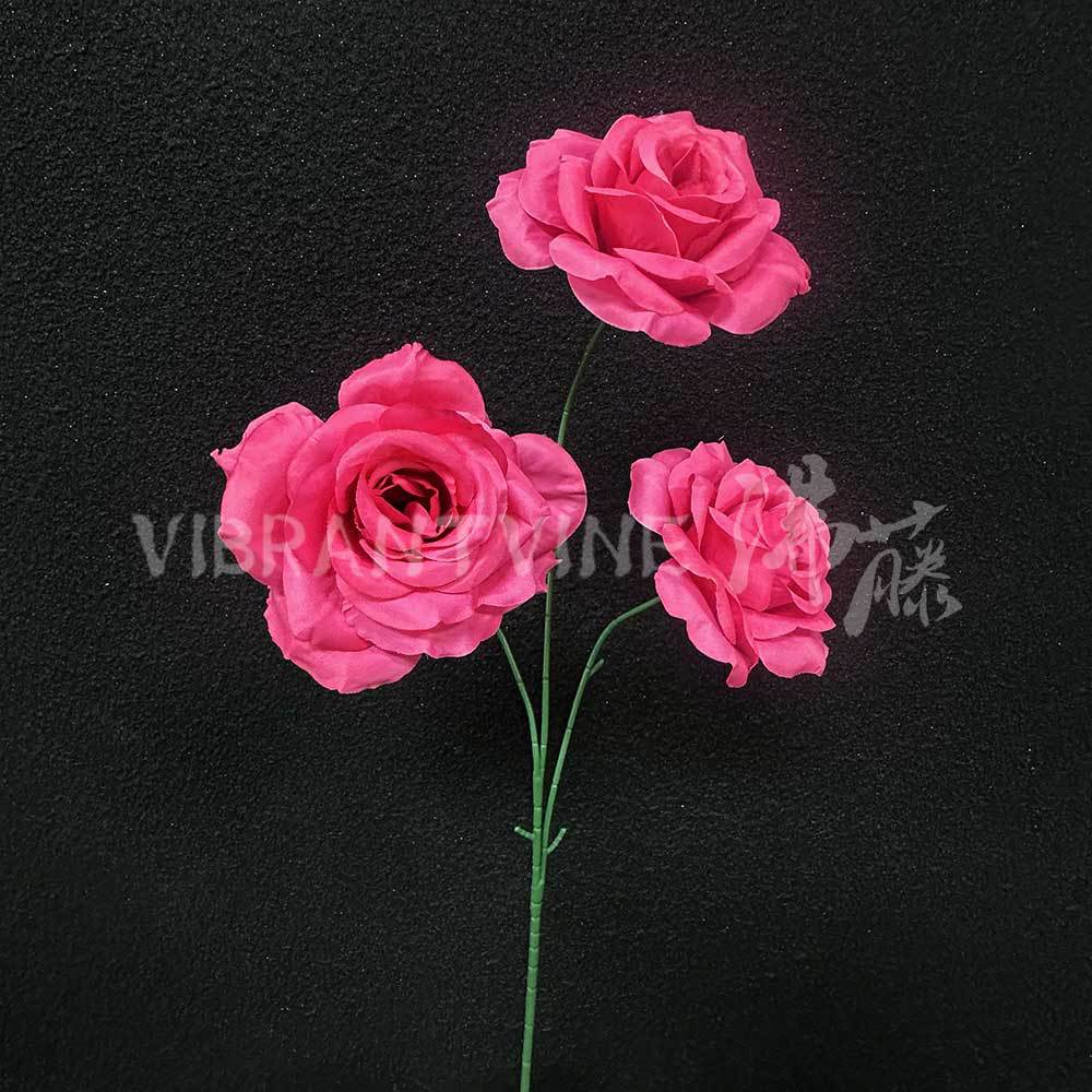 Rose red star and moon rose