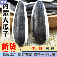 新鲜炒熟原味大颗粒新货生瓜子内蒙古葵花籽坚果炒货零食散装大袋