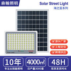 定制太阳能户外灯庭院灯家用特亮农村大门口一拖二室内外照明路灯