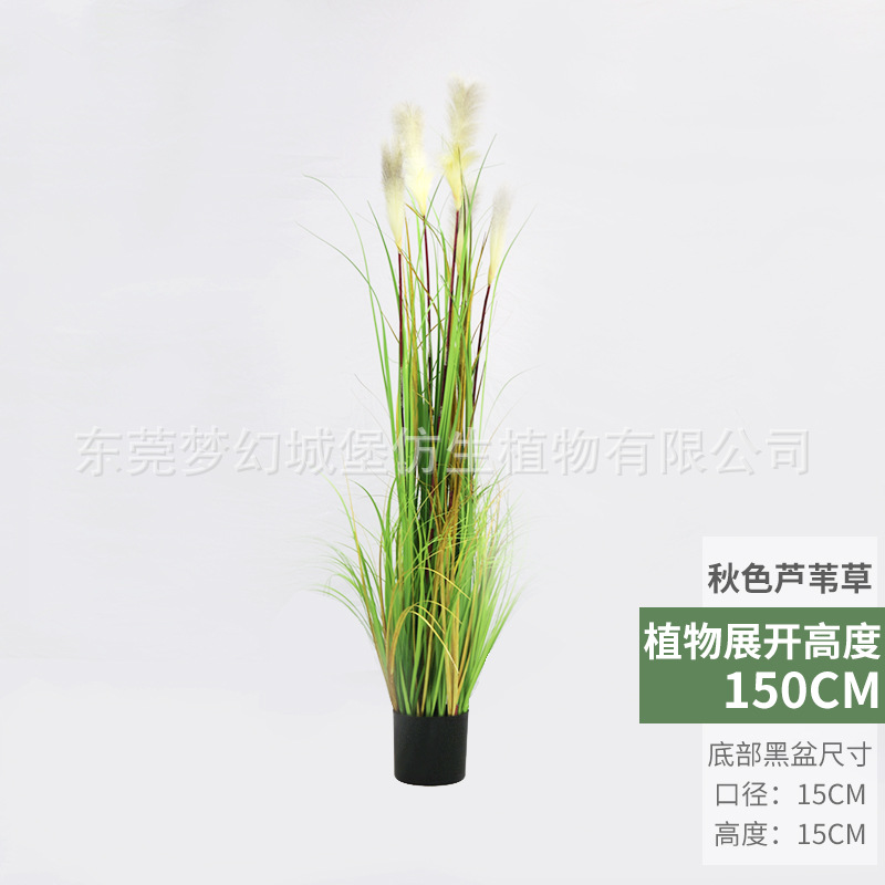 Pote de hierba de otoño (150cm)